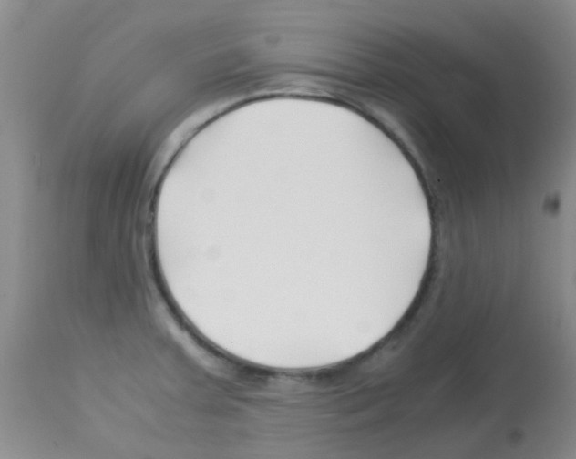 X0000113091379200910091246