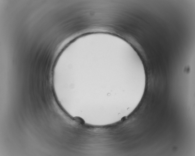 X0000113091380200910091246