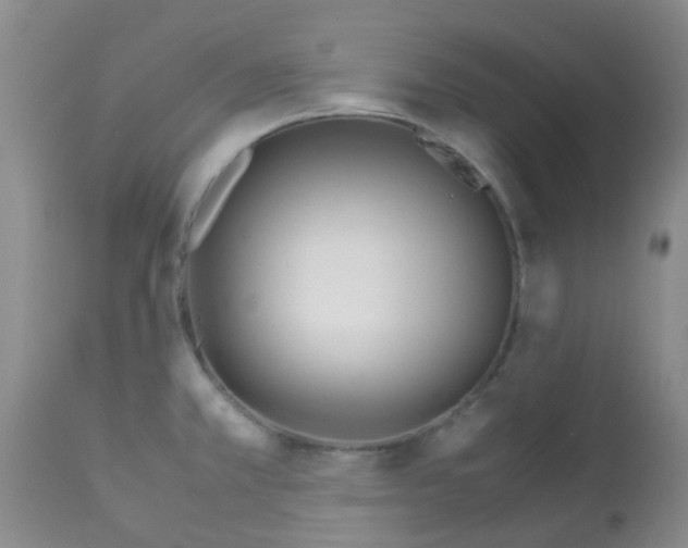 X0000113091381200910091246