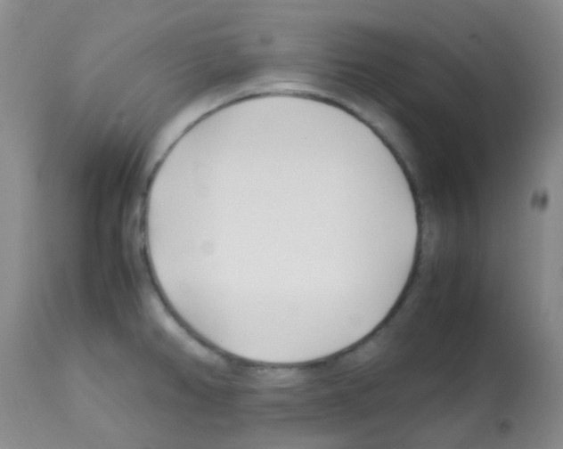 X0000113091382200910091246
