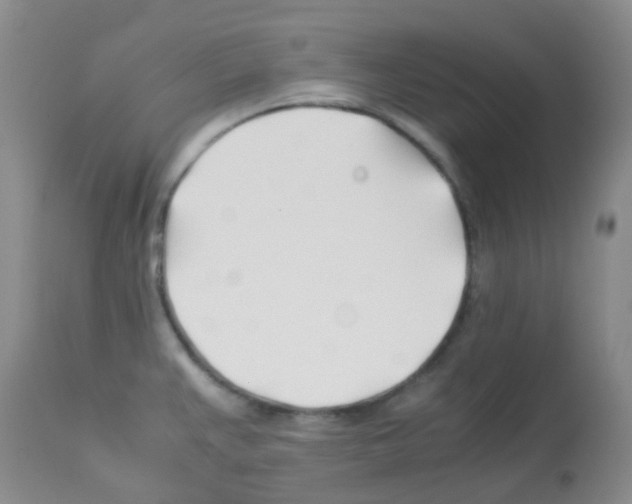X0000113091383200910091246