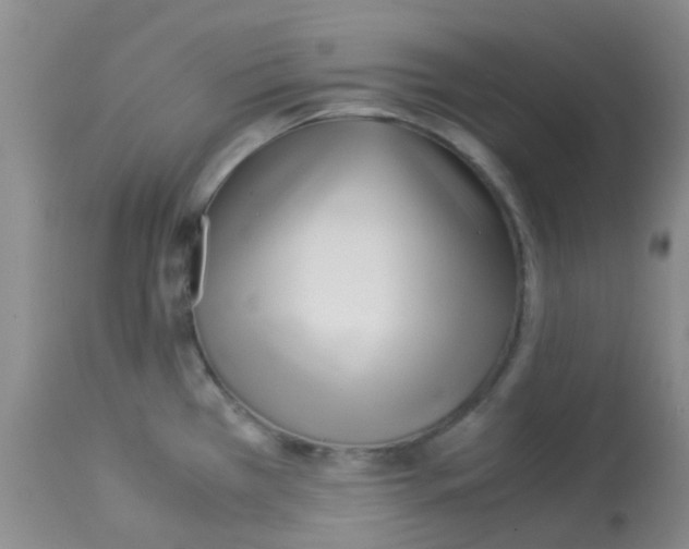 X0000113091385200910091246