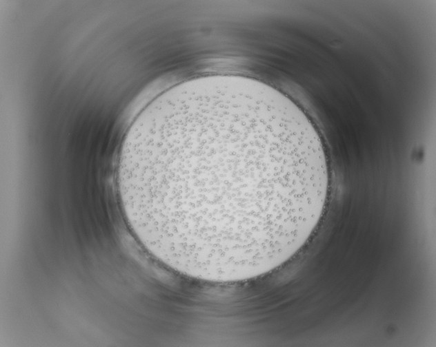 X0000113091386200910091246