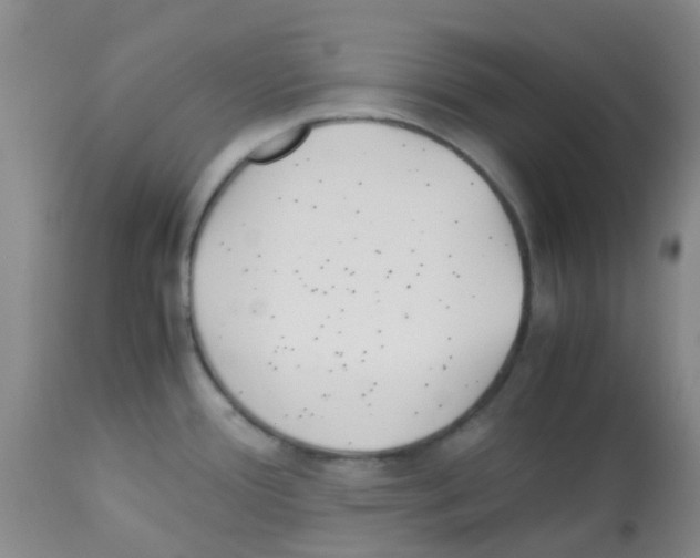 X0000113091388200910091246