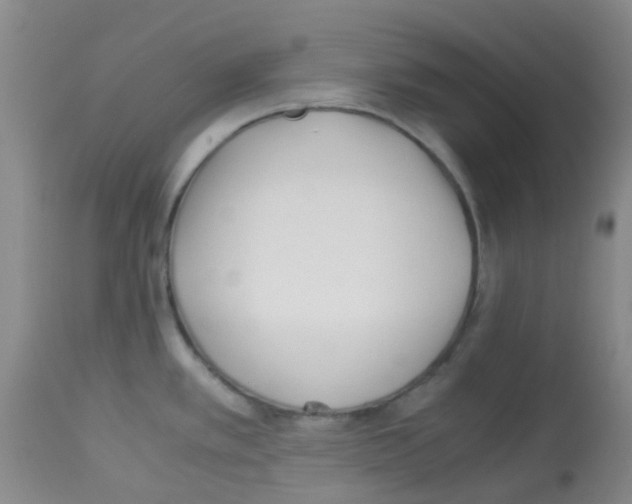 X0000113091389200910091246