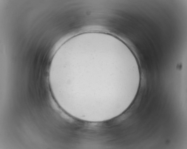X0000113091390200910091246
