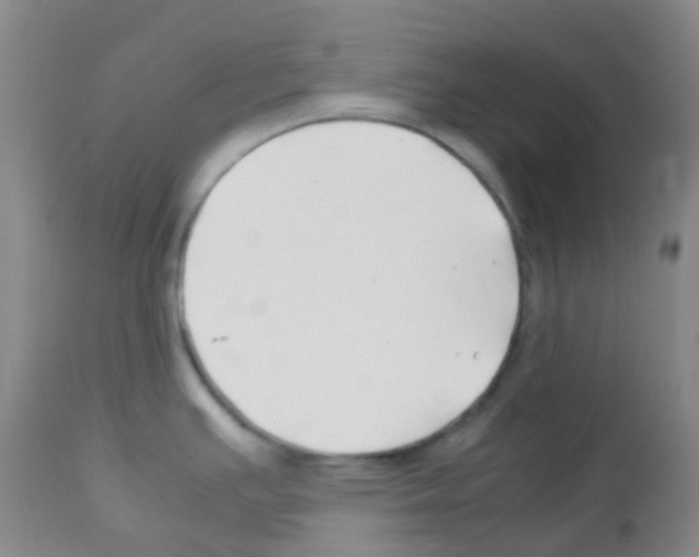 X0000113091391200910091246