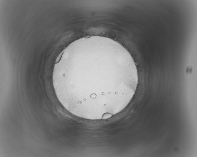 X0000113091393200910091245