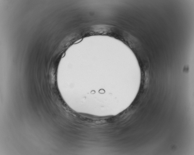 X0000113091394200910091245