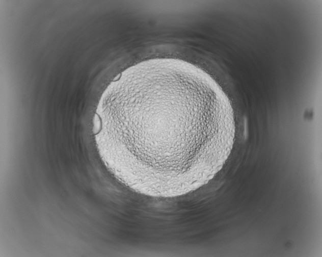 X0000113091395200910091245
