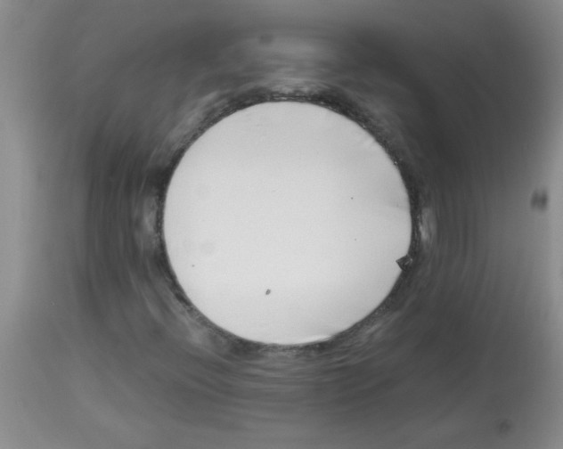 X0000113091396200910091245