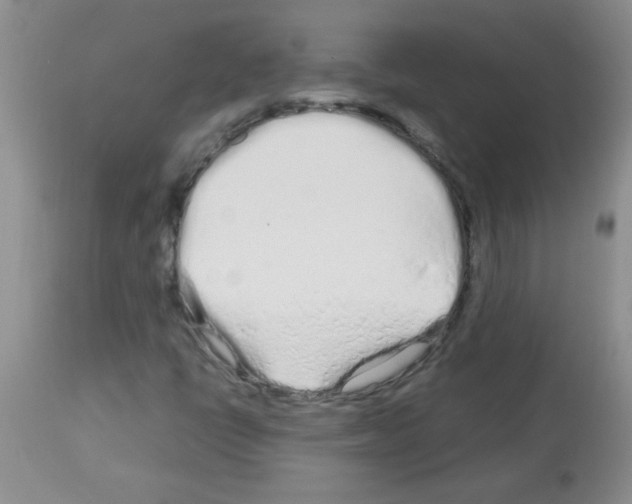 X0000113091398200910091245