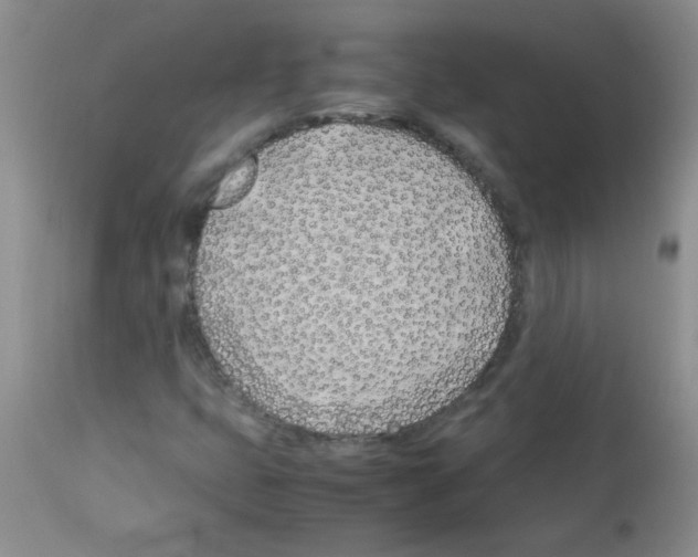 X0000113091399200910091245