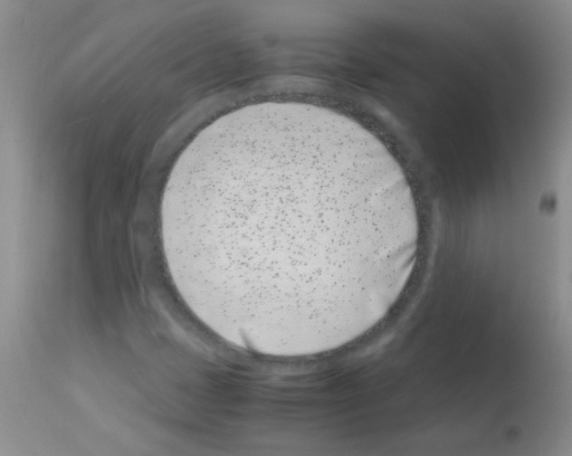 X0000113091401200910091245