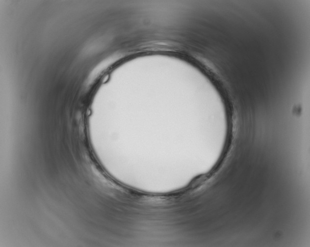 X0000113091402200910091245