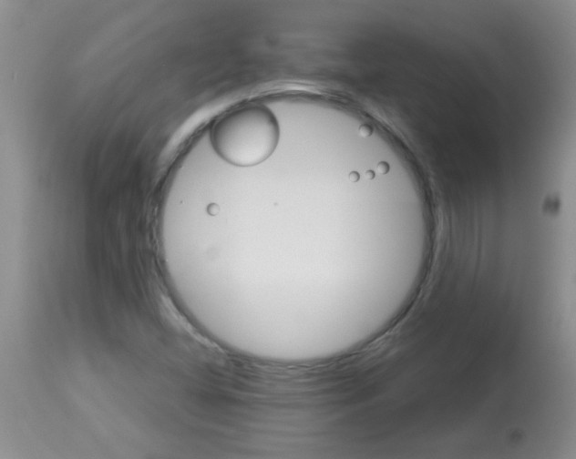 X0000113091404200910091245