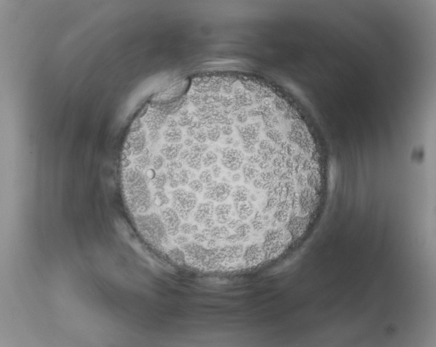 X0000113091405200910091245