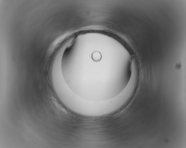 X0000113091406200910091245