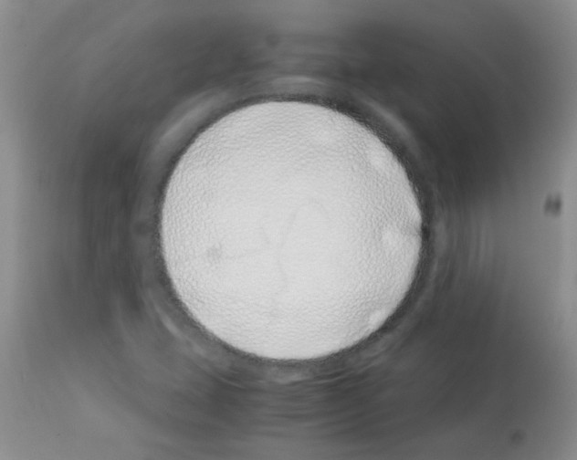 X0000113091407200910091245