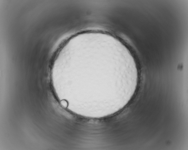 X0000113091408200910091245