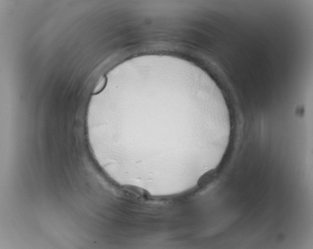 X0000113091409200910091245