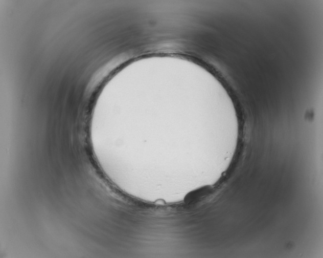 X0000113091410200910091245