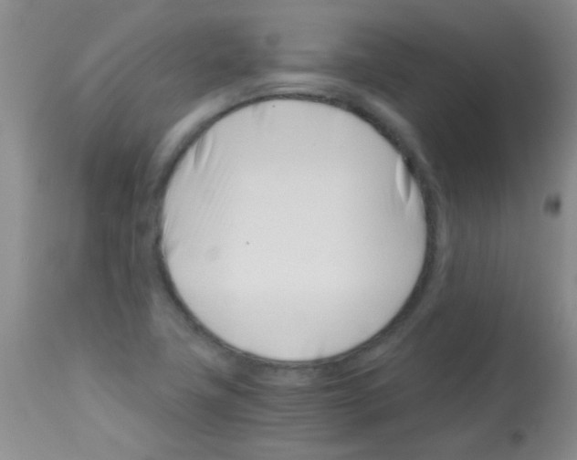 X0000113091411200910091246