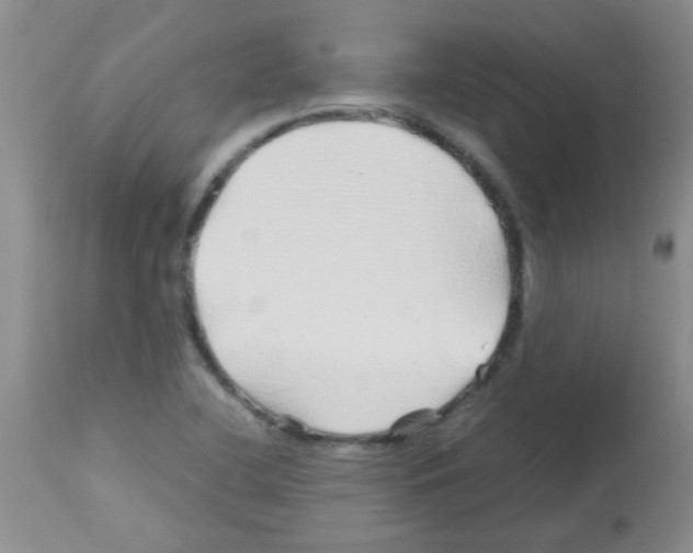 X0000113091412200910091246
