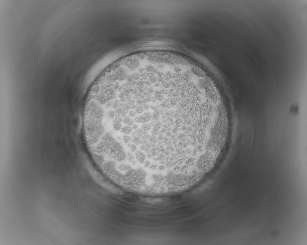 X0000113091413200910091246