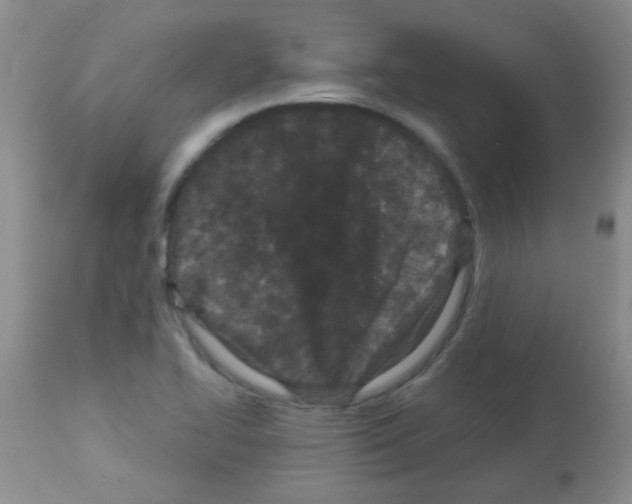 X0000113091414200910091246