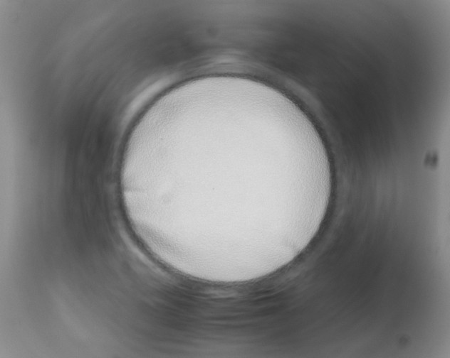 X0000113091415200910091246