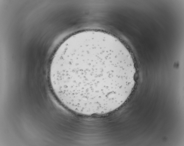 X0000113091416200910091246