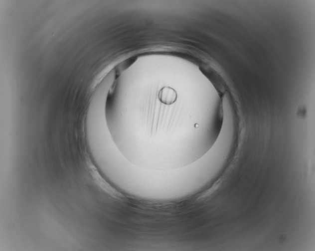 X0000113091417200910091246