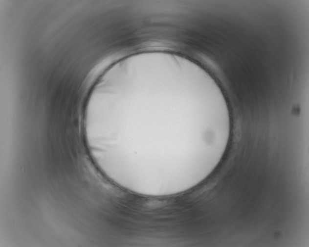 X0000113091419200910091246
