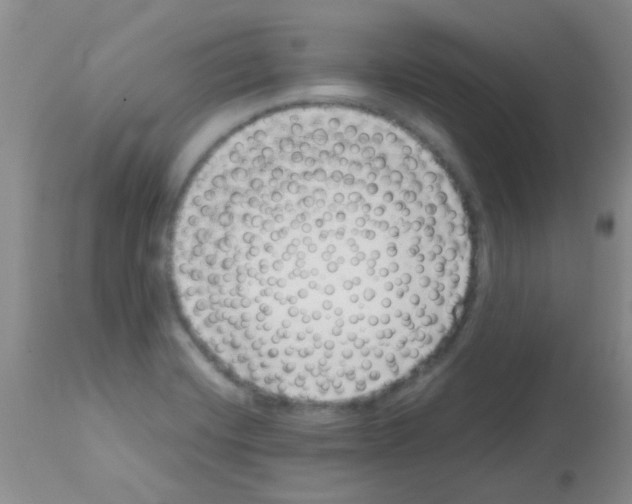 X0000113091420200910091246