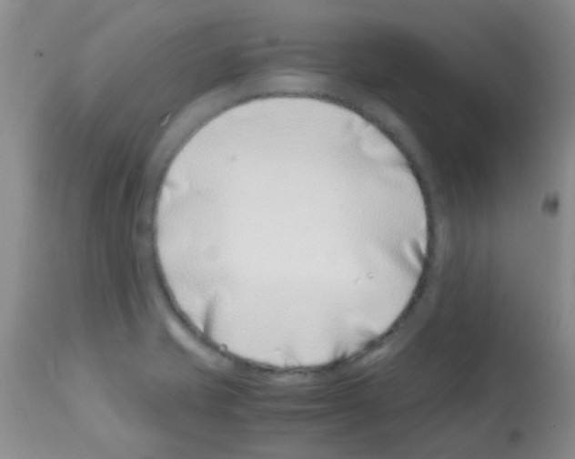 X0000113091421200910091246