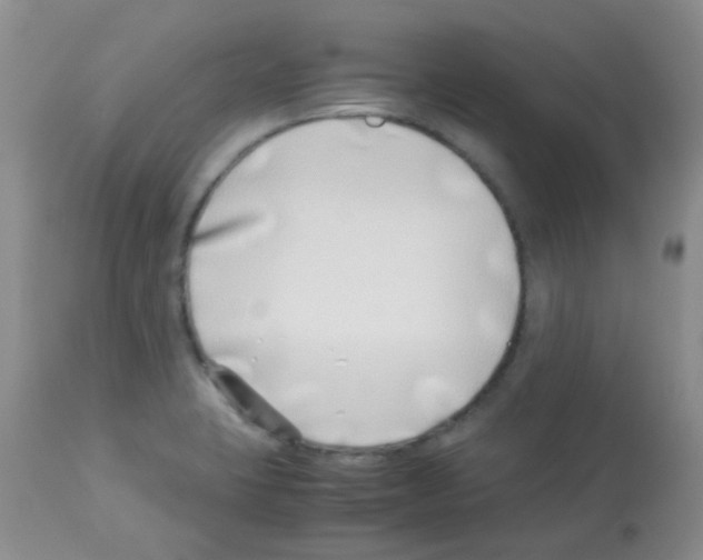 X0000113091423200910091246