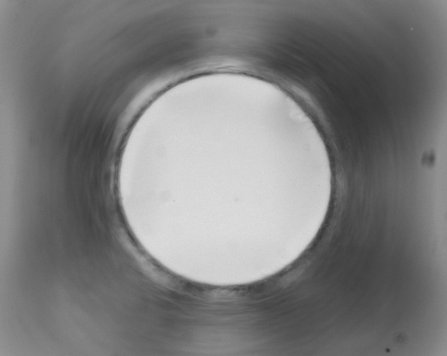 X0000113091424200910091246