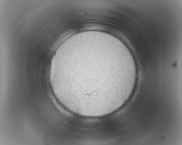 X0000113091425200910091246
