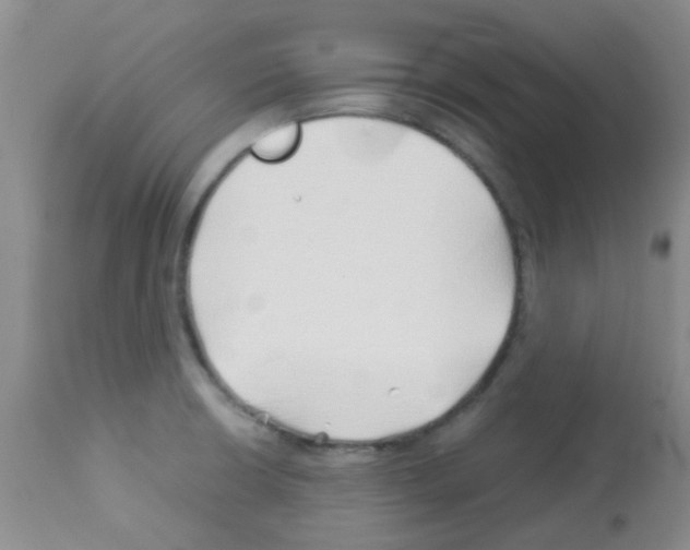 X0000113091426200910091246