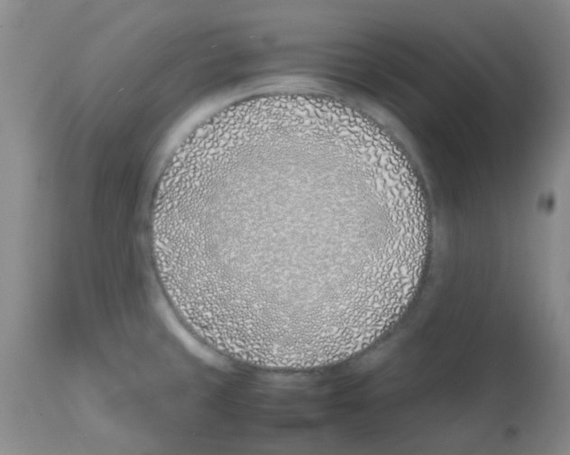 X0000113091429200910091246