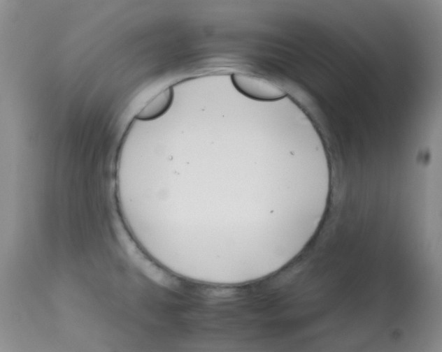 X0000113091431200910091246