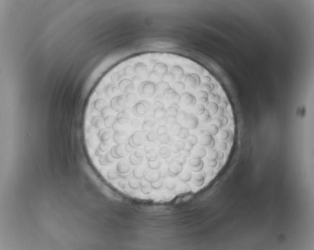 X0000113091432200910091246
