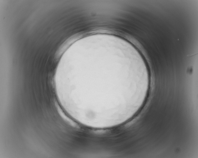 X0000113091433200910091246