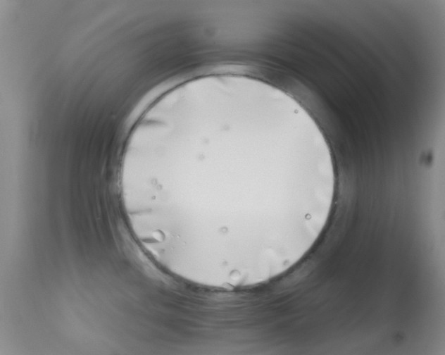 X0000113091436200910091246