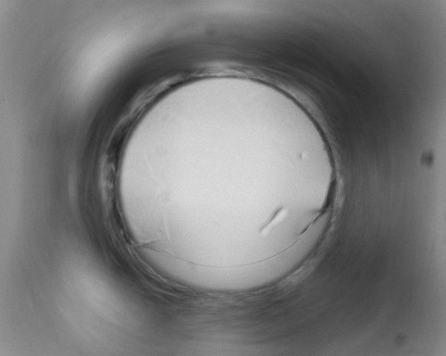 X0000113091438200910091246