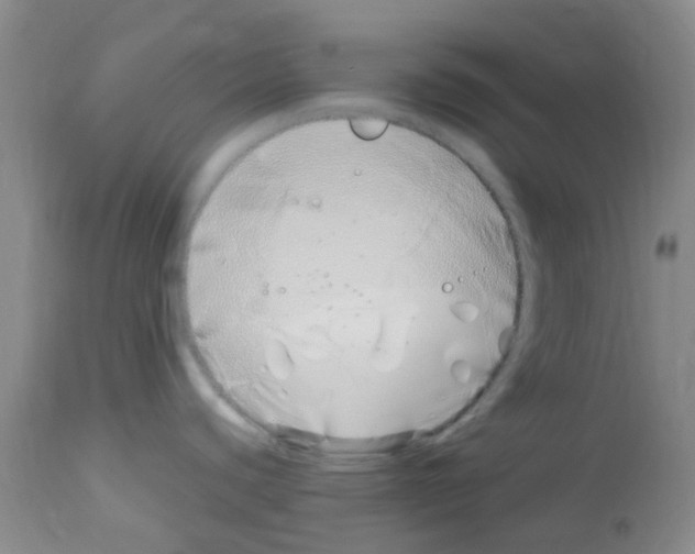 X0000113091440200910091246