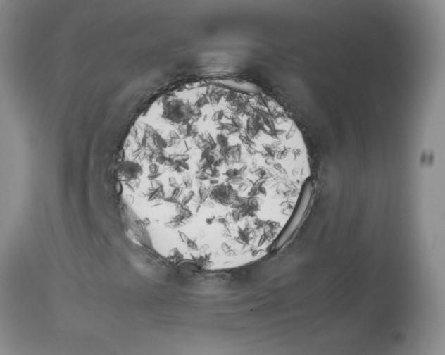 X0000113091441200910091245