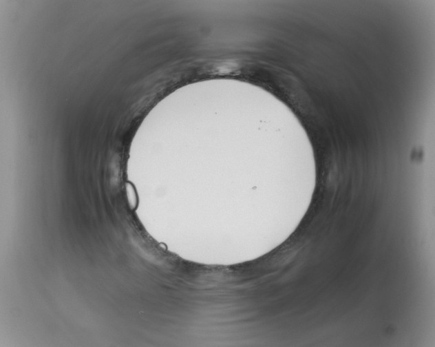 X0000113091442200910091245