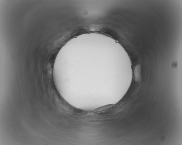 X0000113091443200910091245